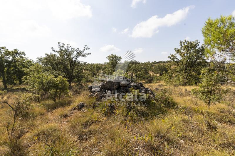 Foto afe9f80f-cf26-44ff-8b04-f9b20fdd0802. Terreno residenziale in Pastrana