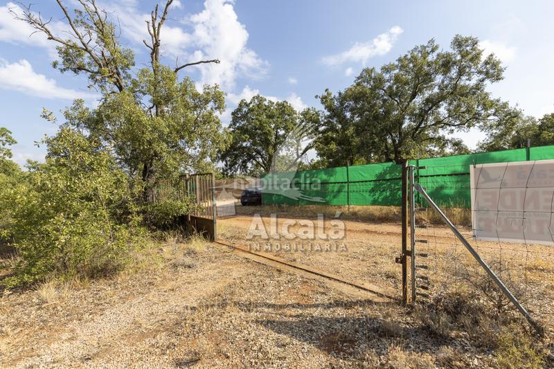 Foto b5e66e35-475c-4475-9ca8-04939f3975e1. Terreno residenziale in Pastrana