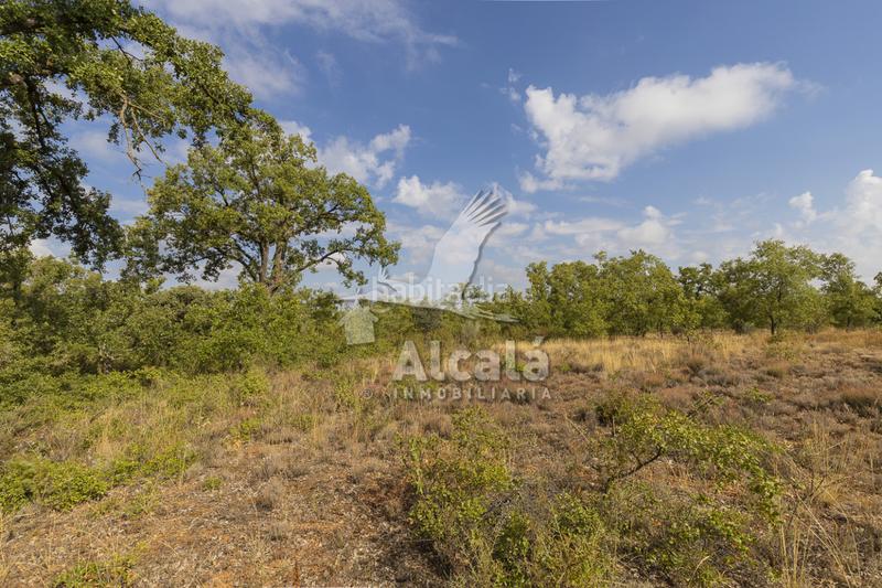 Foto b6c0152a-0695-4f1a-82f1-8fdd0b138b51. Terreno residenziale in Pastrana