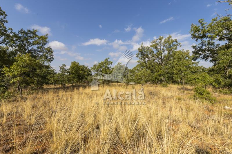 Foto b8b84918-6323-4e18-a0ef-2cb9cb106260. Terreno residenziale in Pastrana