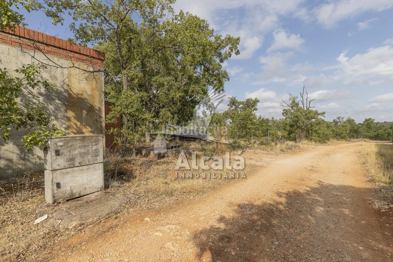 Foto befb77e7-1dfb-4b0f-8169-d269f13ab023. Terreno residenziale in Pastrana