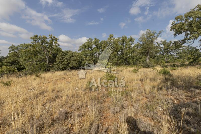 Foto bf254ec5-3f2c-468b-adf9-cf6da6e2499c. Terreno residenziale in Pastrana