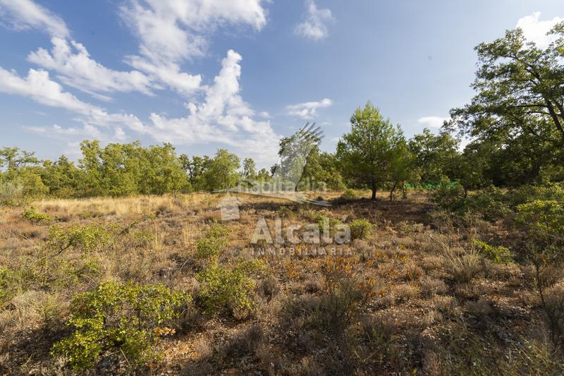 Foto c6063dc9-fd0d-4bea-a7de-472b687c05df. Terreno residenziale in Pastrana