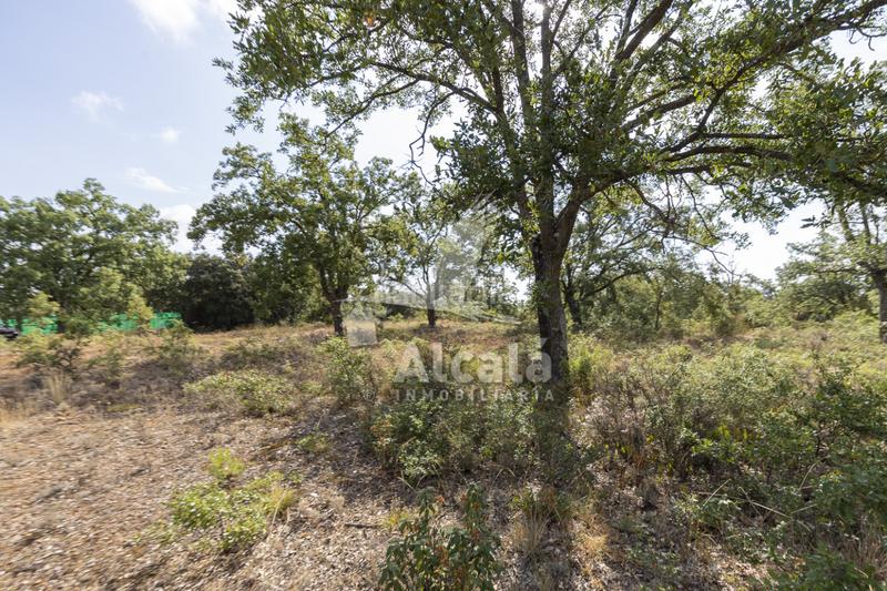 Foto d50af3ce-b3e0-4ad3-b5cf-0c745199824a. Terreno residenziale in Pastrana