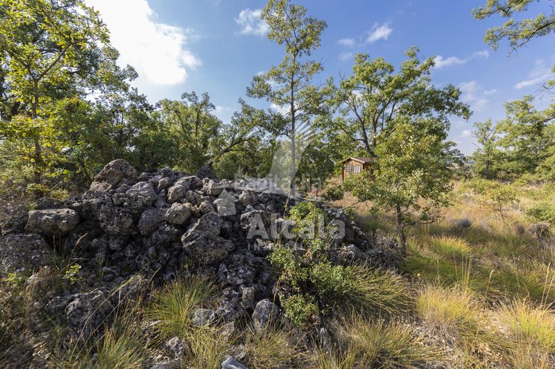 Foto e37f93e9-0461-42eb-a5f9-126f65e8bc91. Terreno residenziale in Pastrana