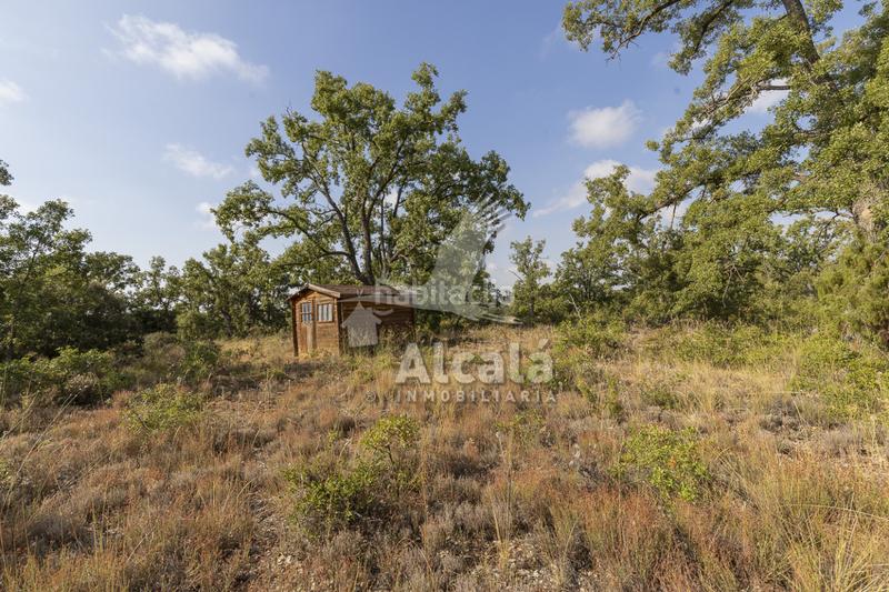 Foto eb9eeec5-26dd-4002-8ff7-a8ae3cf5b02c. Terreno residenziale in Pastrana