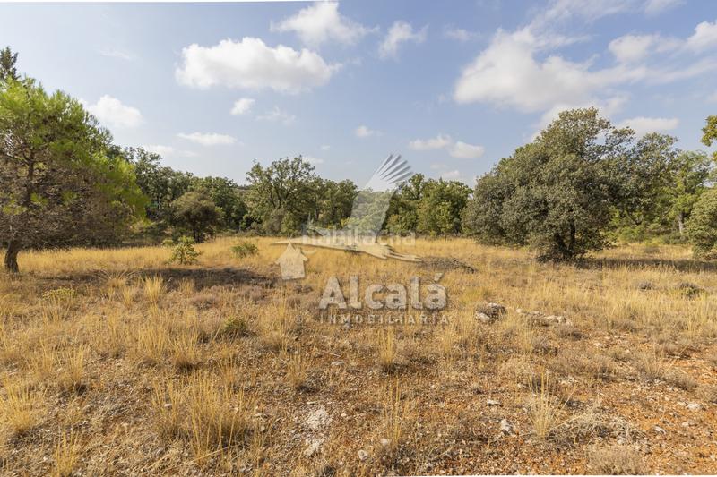 Foto ef7d41a6-c911-482d-bae9-9d768d4ebbe0. Terreno residenziale in Pastrana