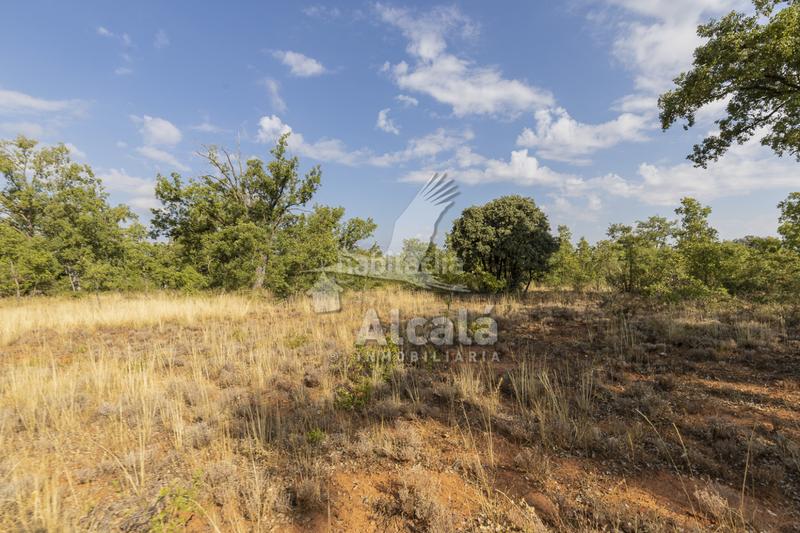 Foto f52c2bc2-d694-4810-ae2e-27b8e6c73afd. Terreno residenziale in Pastrana