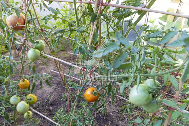 Foto a5b16b48-e5a3-43e2-abcc-bcc6cf766782. Casa adosado cerca del centro de galapagos en Galápagos