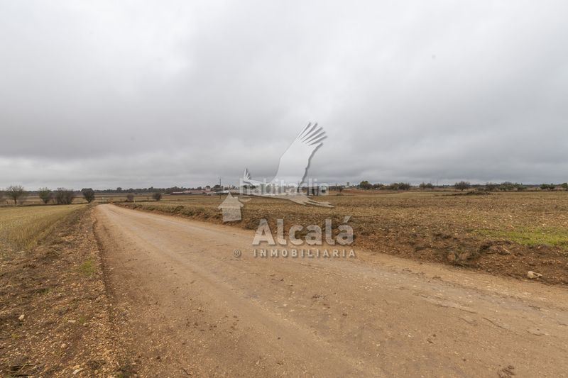 Foto 1da557a0-f568-48c7-b34a-72628f76521b. Finca rústica a Pezuela de las Torres