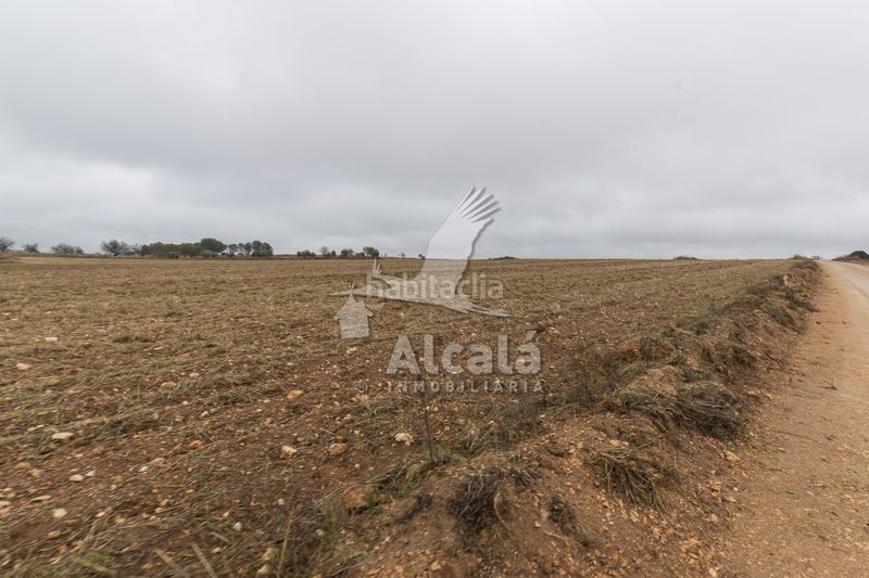 Foto 4c9992be-f046-456e-b370-95c7afc3e891. Finca rústica a Pezuela de las Torres