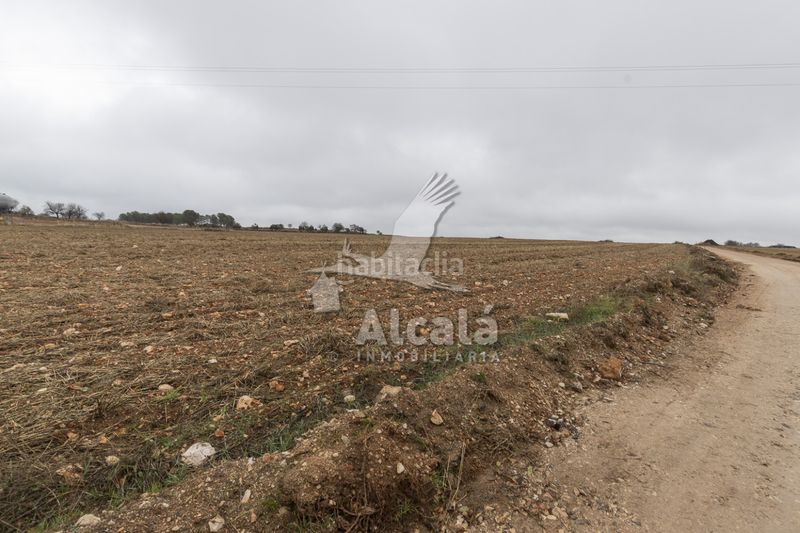 Foto abbb8ea7-adb1-4416-aa82-f8e055754fa7. Finca rústica a Pezuela de las Torres