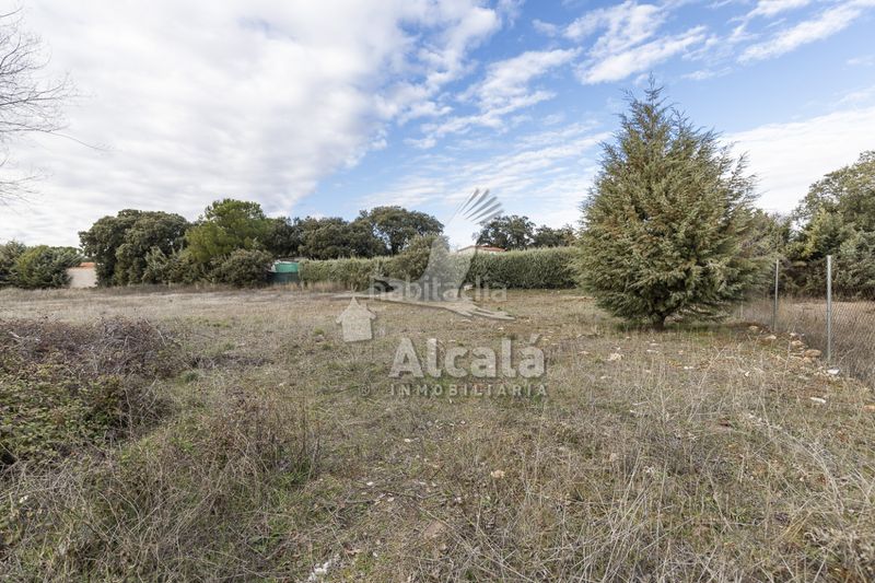 Foto a0fd6afa-65ea-4f3e-b912-1cf71e53f1ab. Finca rústica a Pioz