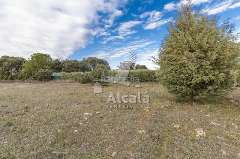 Foto a11a9430-f632-42c5-aaee-0e95cdaa9405. Finca rústica a Pioz