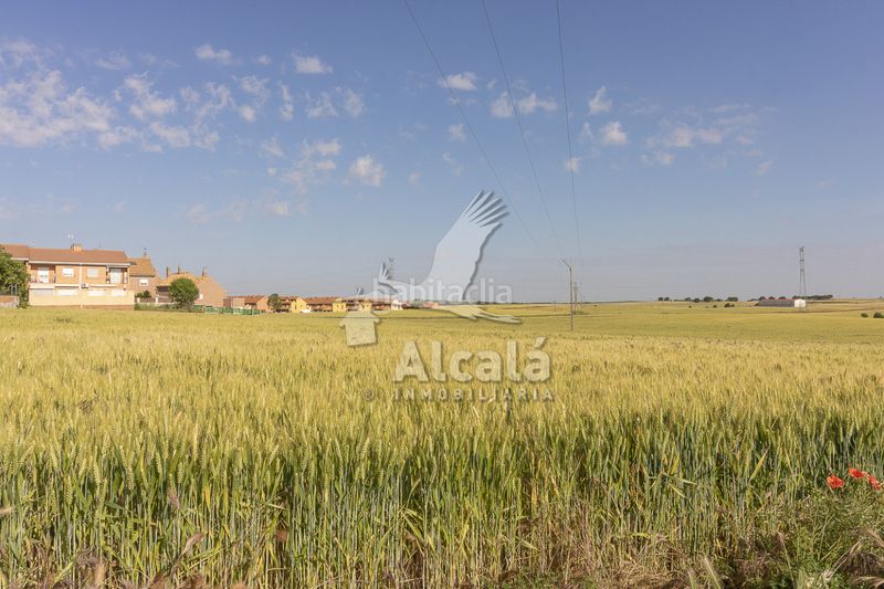 Foto c34afbfc-0bc5-49b5-9183-182e274055f1. Finca rústica a Pioz