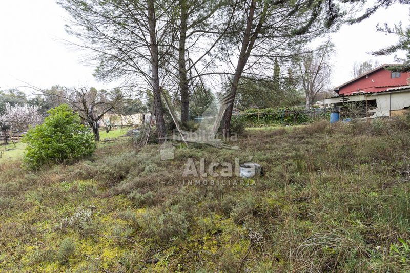 Foto ca4ade41-f52c-4970-a6f6-e81d36fc8b84. Terreny residencial a Ambite