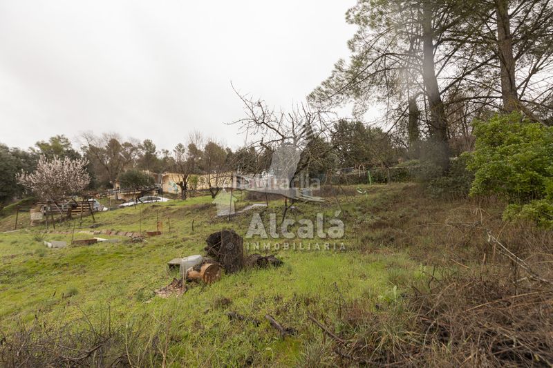Foto f4394075-812a-4c50-b90e-671fd4acf5a9. Terreny residencial a Ambite