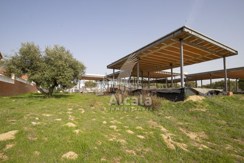 Foto 0e0c4e46-da91-49f6-a0e1-d1aea828a6b0. Finca rústica a Villalbilla pueblo Villalbilla