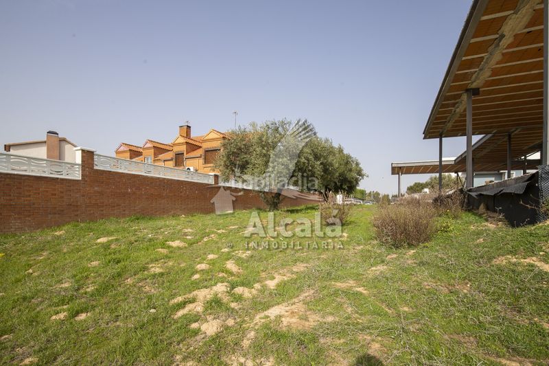Foto 4d25d61e-3826-4d98-b7db-6c80ec4bc137. Finca rústica a Villalbilla pueblo Villalbilla
