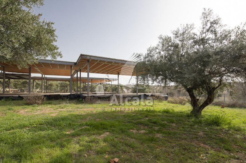 Foto a4ea31d8-fc3b-4a8a-a062-4868b5ef63f2. Finca rústica a Villalbilla pueblo Villalbilla