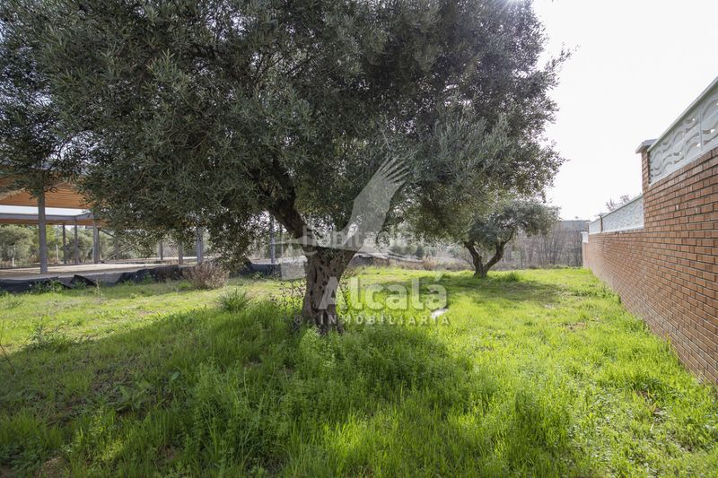 Foto b79d64e3-e9b0-4be7-8fd8-a06ea9934922. Finca rústica a Villalbilla pueblo Villalbilla