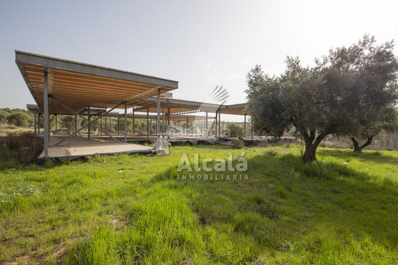 Foto d62ab197-5096-4aeb-ae69-cc0d9a0a9f96. Finca rústica a Villalbilla pueblo Villalbilla