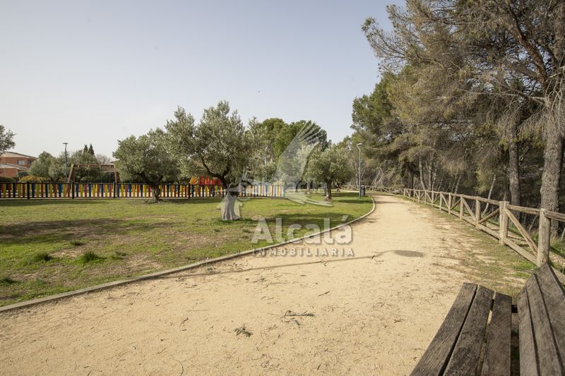 Foto df5f6a57-c161-4ef2-b26c-4f1a86bafaa4. Finca rústica a Villalbilla pueblo Villalbilla