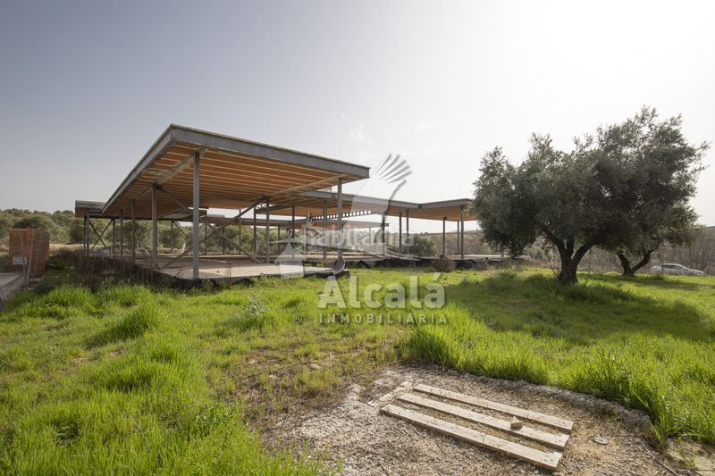 Foto e79b62a2-d4ce-47b2-81aa-15885590daab. Finca rústica a Villalbilla pueblo Villalbilla