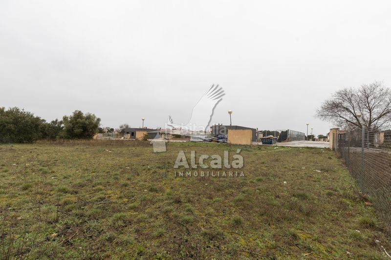 Foto 2a811bc4-dceb-4004-8a58-e8560b774b5c. Finca rústica a Pioz