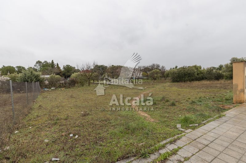 Foto 4980a933-ae7e-42b2-8c17-45aed4cbd933. Finca rústica a Pioz