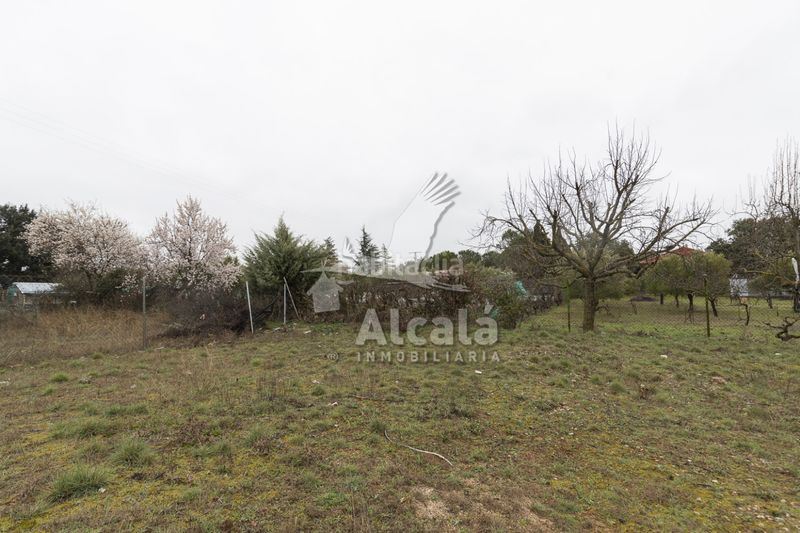 Foto 5b680427-0d5a-4291-b361-7a811fd361f0. Finca rústica a Pioz