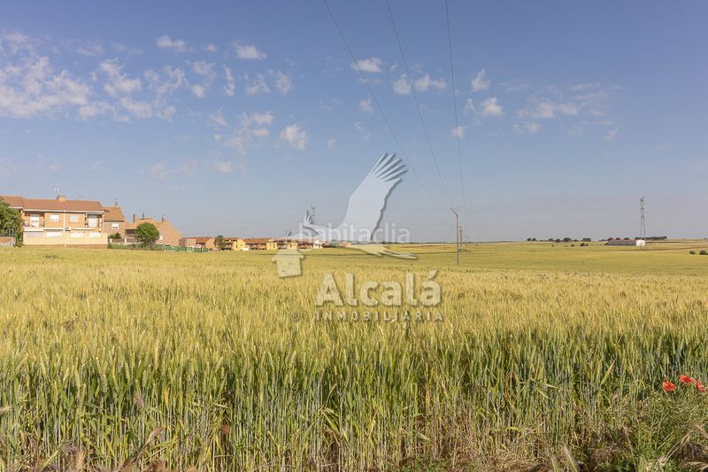 Foto 762a5253-456f-459d-9dff-ebe96f7cfa84. Finca rústica a Pioz