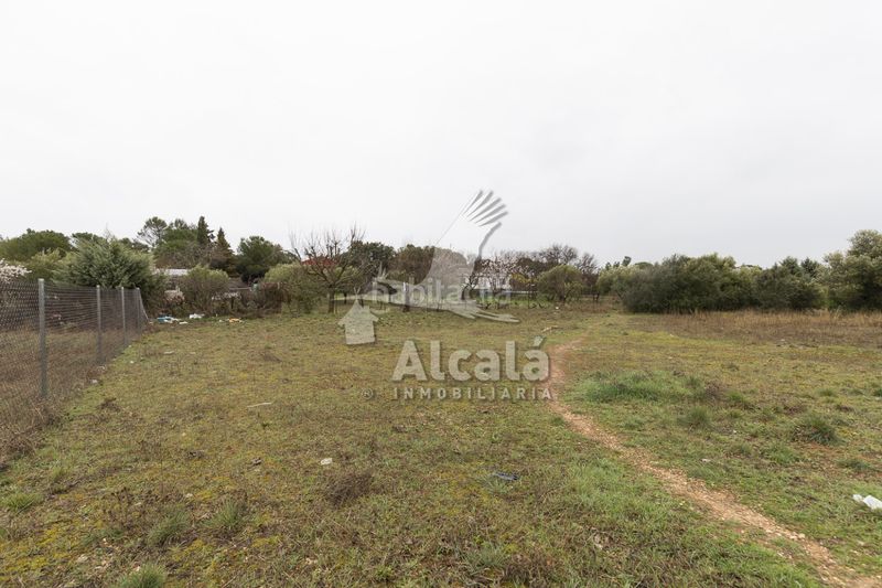 Foto ad10df9b-0479-4cdd-83b3-5207fad82725. Finca rústica a Pioz