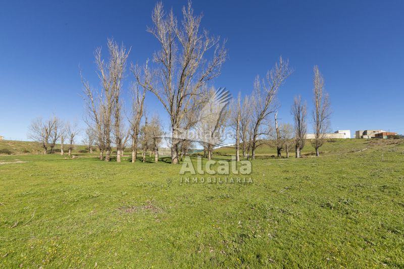 Foto a7f05955-1f53-4f10-a3be-a3160fd28f04. Casa aparellada amb calefacció aparcament a Galápagos