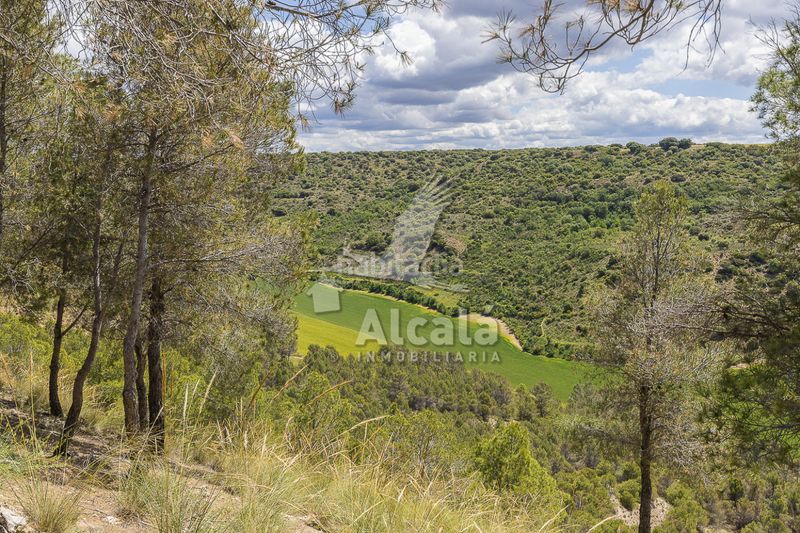 Foto 56895f5d-caa4-493b-bf62-2e3514e492e3. Pis amb calefacció aparcament a Chiloeches