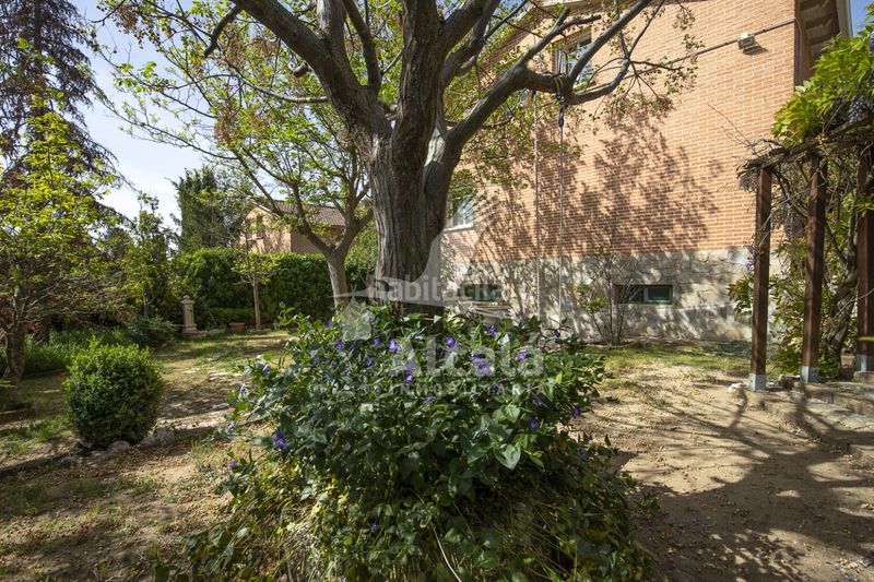 Foto 385bd048-1e22-4a1f-8ad4-754c9634eb08. Casa amb calefacció aparcament a Santorcaz