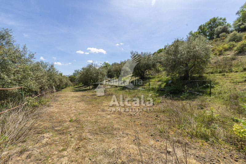 Foto 53858a07-fb42-4426-9c31-0dfbca4e1eed. Casa amb calefacció aparcament piscina a Valverde de Alcalá