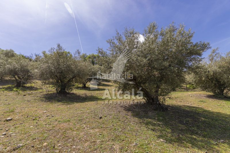 Foto a5ae3b01-d6a0-4094-be12-e29cbeb76c2b. Casa amb calefacció aparcament piscina a Valverde de Alcalá