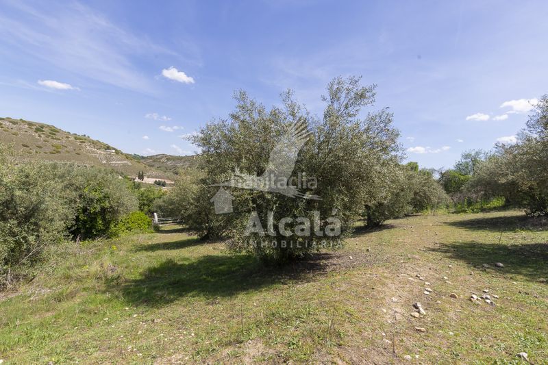 Foto b8cd4f46-2d67-41ec-8212-35a75a4352d3. Casa amb calefacció aparcament piscina a Valverde de Alcalá