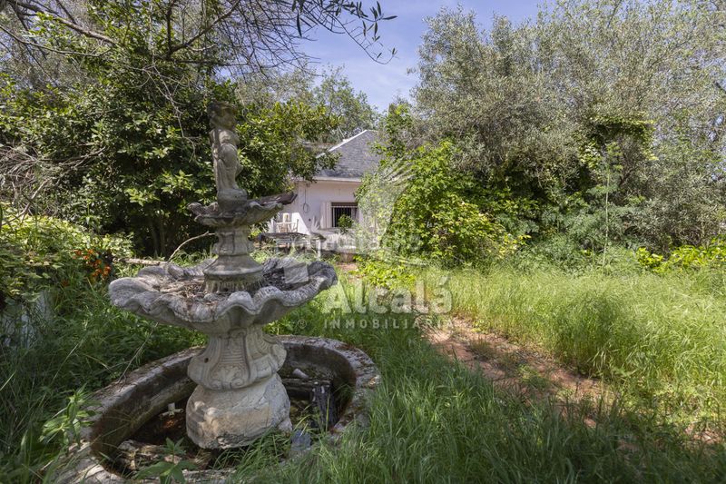 Foto c3ec5217-be06-4206-b85e-bc2dfb00cc0e. Casa amb calefacció aparcament piscina a Valverde de Alcalá