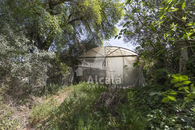 Foto ec8b259b-960e-4932-a7c9-e269a1b2527d. Casa amb calefacció aparcament piscina a Valverde de Alcalá