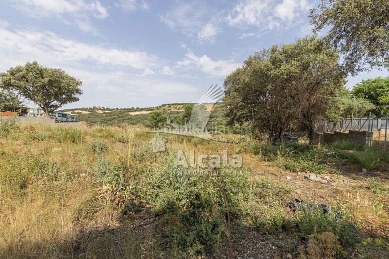 Foto 08e2bab0-acaa-45d6-870a-58837b1ab696. Finca rústica a Valdeaveruelo