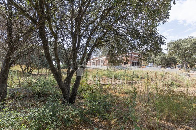 Foto 7edad3b0-1a91-4e81-a3a7-cf857c311660. Finca rústica a Valdeaveruelo