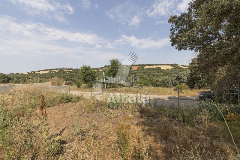 Foto ab420882-95c5-4213-8b13-a6decf457aea. Finca rústica a Valdeaveruelo