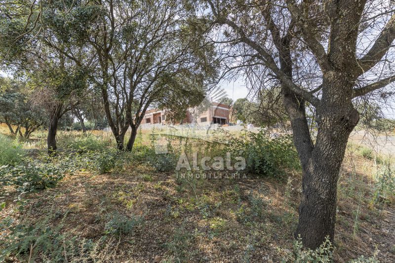 Foto b6d6b7ab-f886-45c4-b0b4-d662cbc14b2f. Finca rústica a Valdeaveruelo
