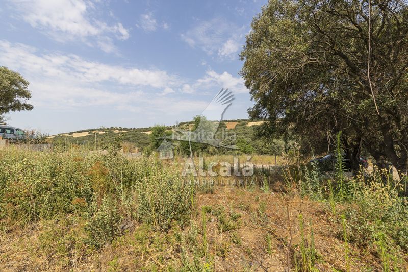 Foto d17937d7-f1f8-4f42-b01b-518ee6e3cada. Finca rústica a Valdeaveruelo