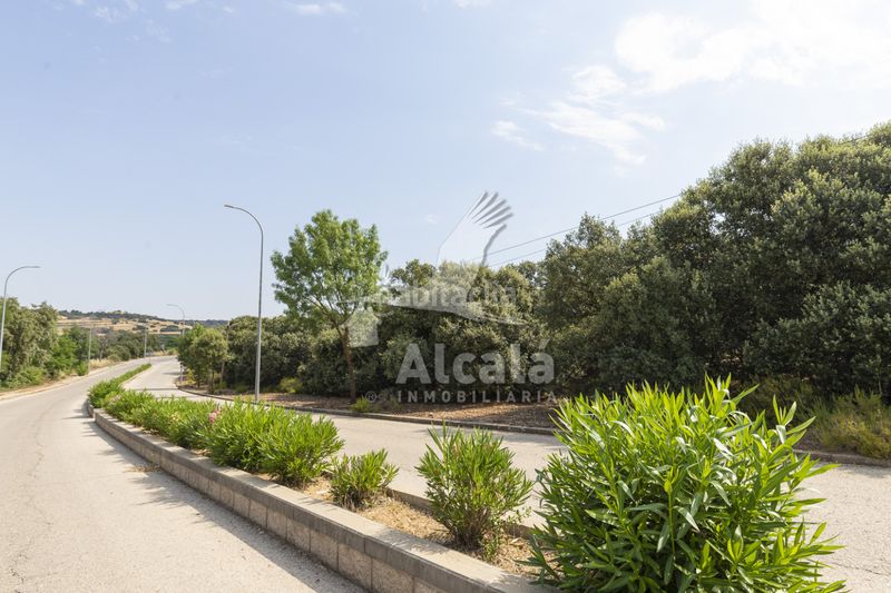 Foto f6d54a5a-7f90-4ed0-b55b-6b8df44b19aa. Finca rústica a Valdeaveruelo