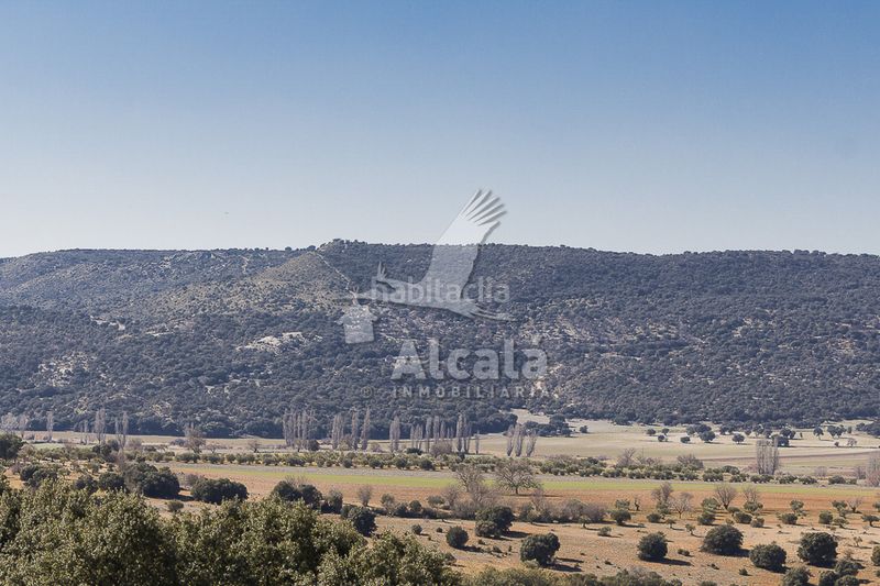 Foto ed0e93b9-8f51-4d6c-8741-2d417910f864. Finca rústica a Fuentenovilla