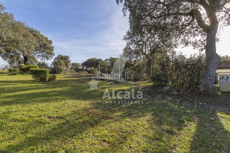 Foto 0d47347d-6381-4959-b1bf-553ba3bd1c83. Finca rústica a Chiloeches