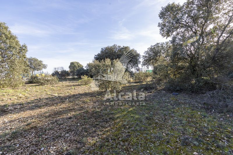 Foto 5011fbfe-8ad3-40a6-808f-23417a3e4a43. Finca rústica a Chiloeches